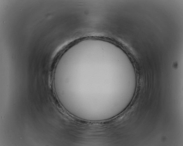 X0000093731262200710160805