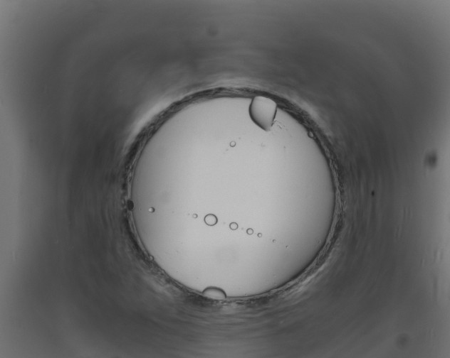 X0000093731263200710160805