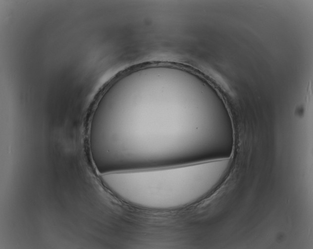 X0000093731264200710160805