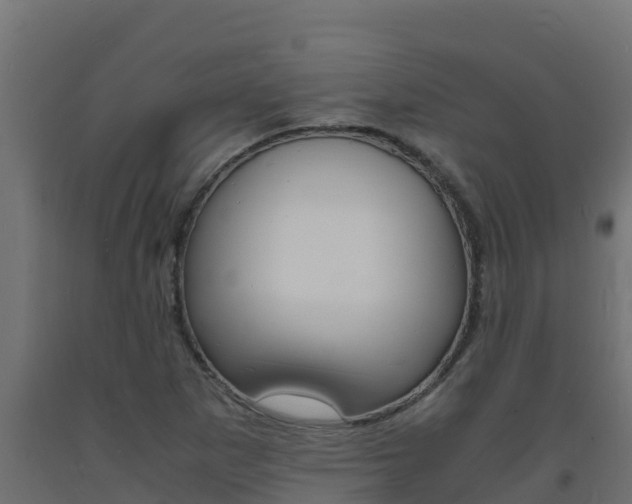 X0000093731265200710160805