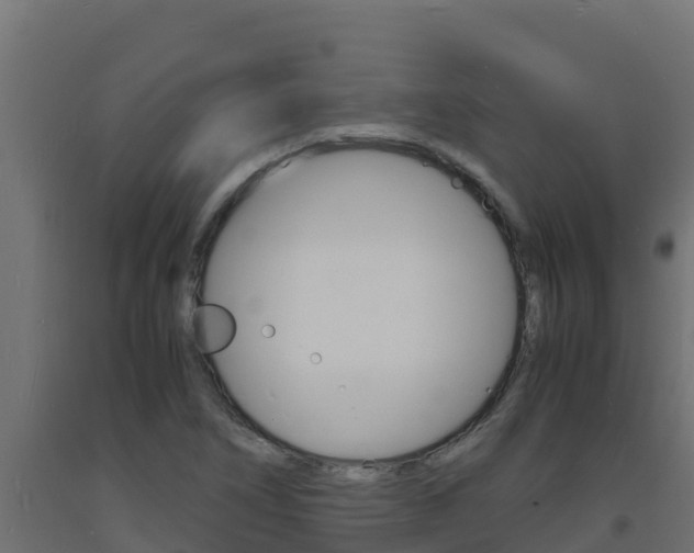 X0000093731266200710160805