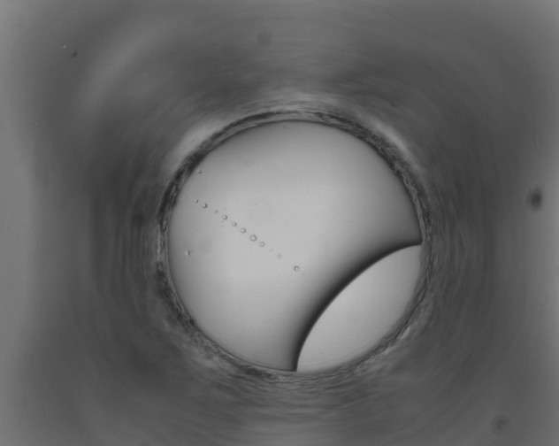 X0000093731267200710160805