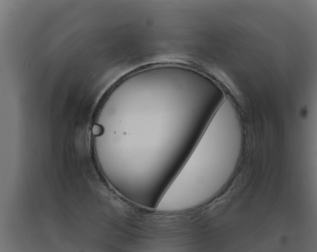 X0000093731268200710160805