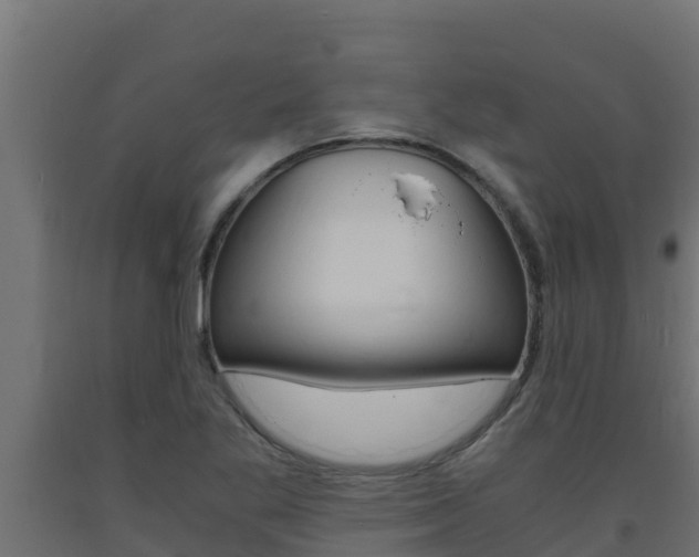 X0000093731269200710160805
