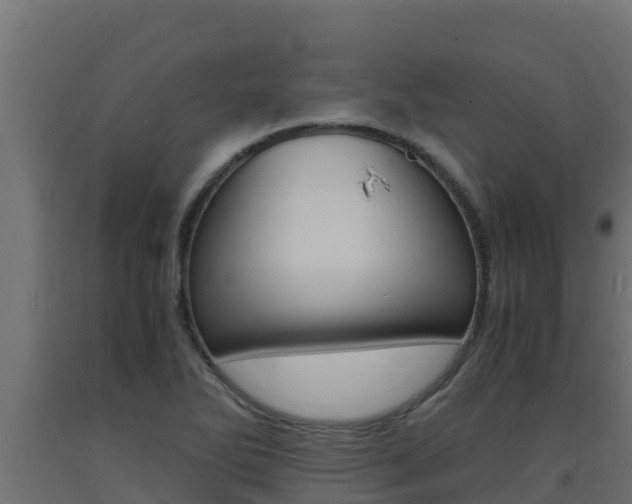 X0000093731270200710160805