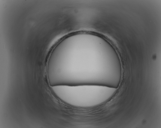 X0000093731271200710160805