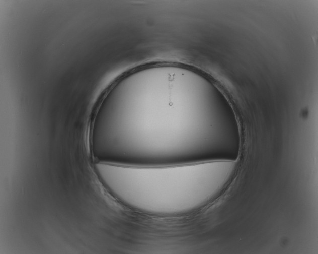 X0000093731272200710160805
