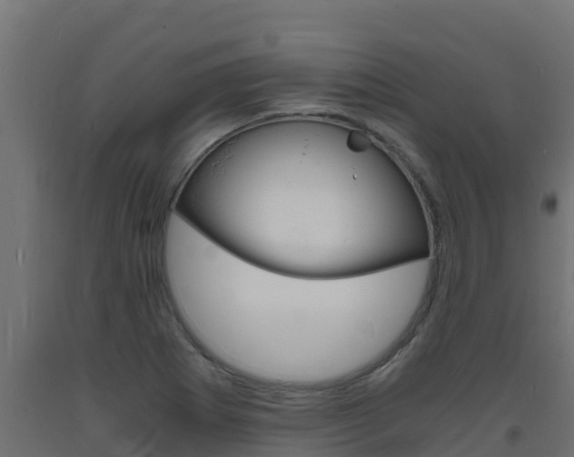 X0000093731273200710160805