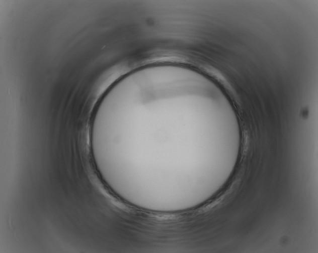 X0000093731274200710160805