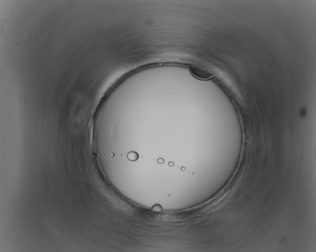 X0000093731275200710160805