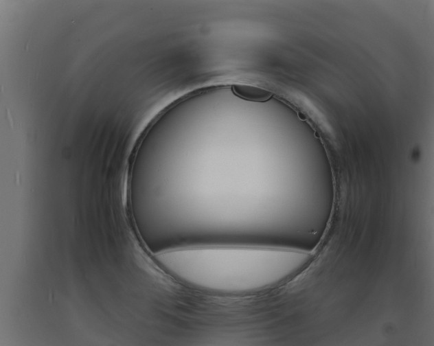 X0000093731276200710160805