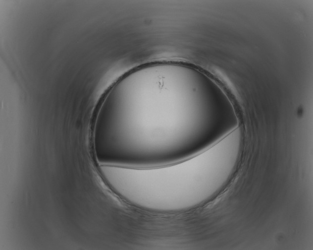 X0000093731277200710160805