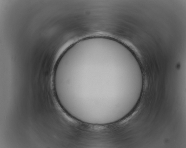 X0000093731278200710160805