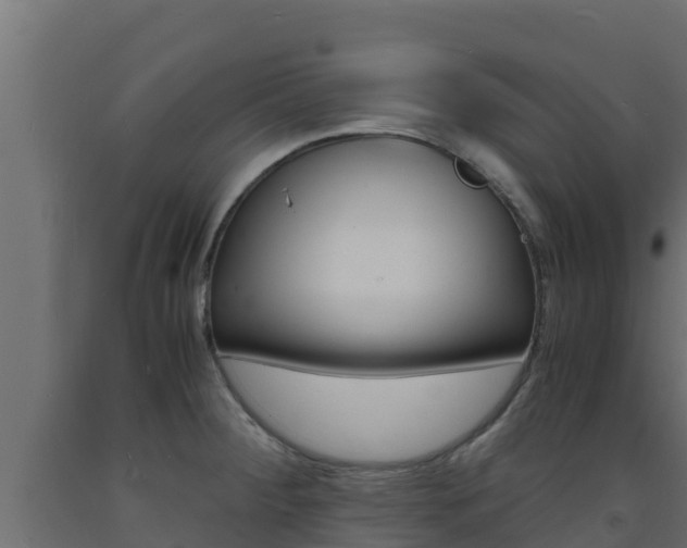 X0000093731284200710160805