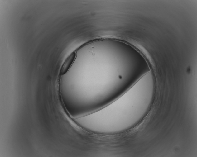 X0000093731285200710160805