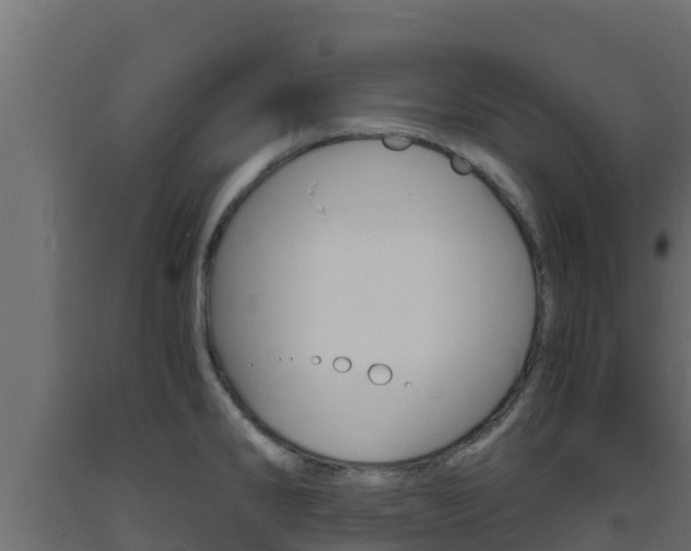 X0000093731286200710160805