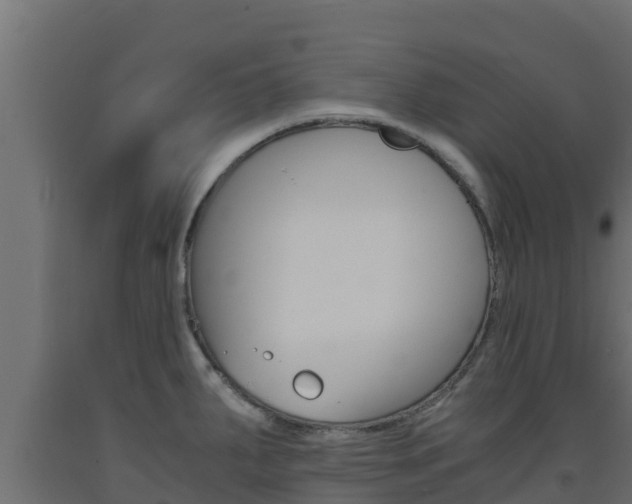 X0000093731287200710160805