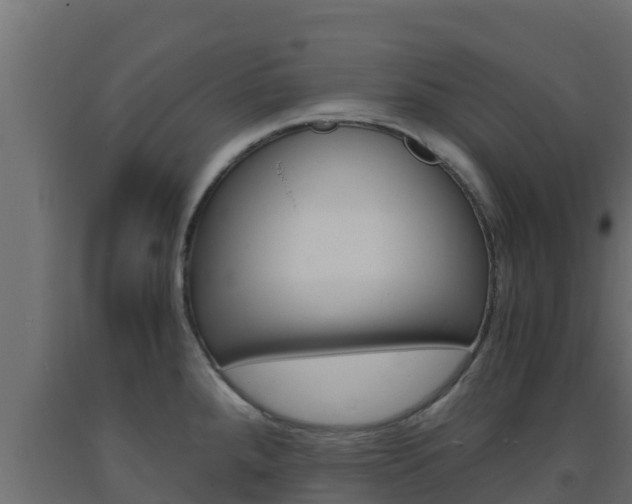 X0000093731288200710160805