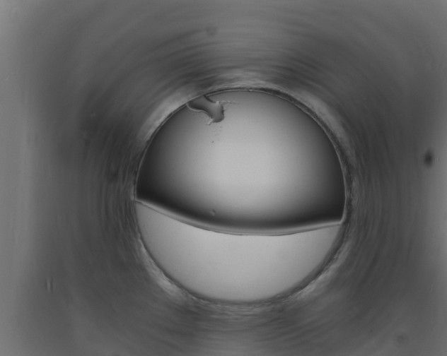 X0000093731289200710160805