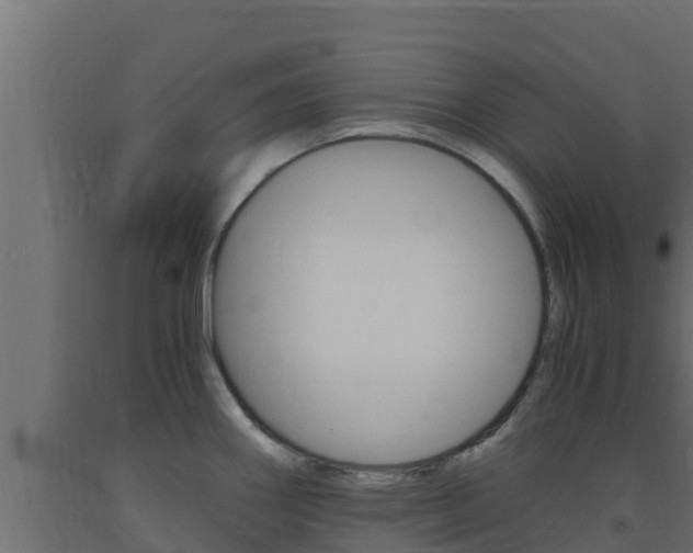 X0000093731290200710160805