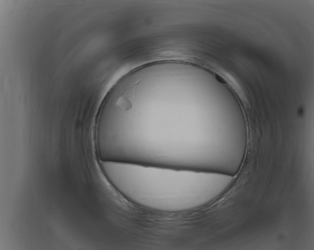 X0000093731291200710160805