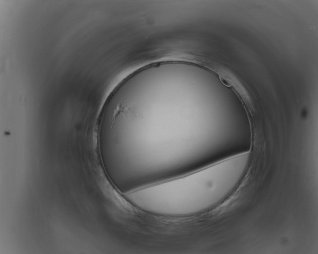 X0000093731292200710160805