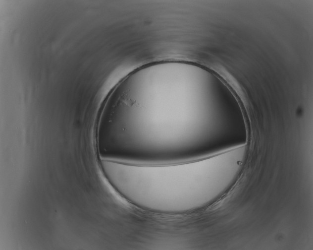 X0000093731293200710160805