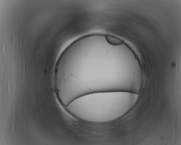 X0000093731295200710160805