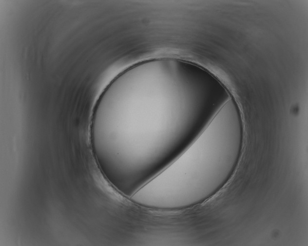 X0000093731296200710160805