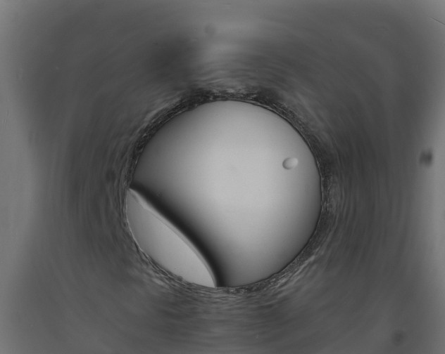 X0000093731297200710160804