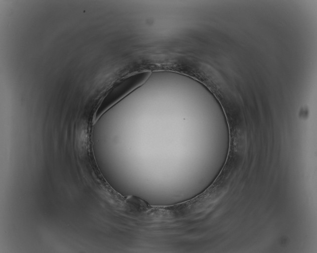 X0000093731298200710160804
