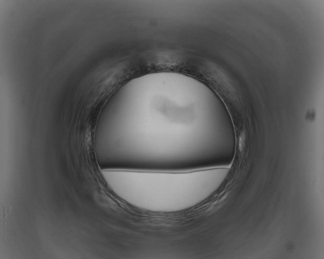 X0000093731299200710160804