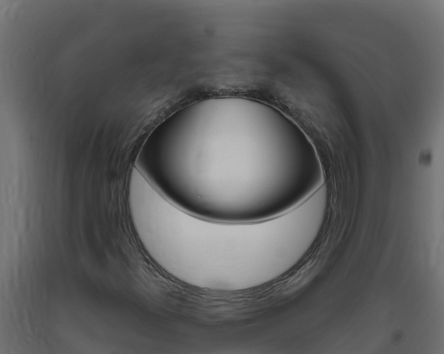 X0000093731300200710160804