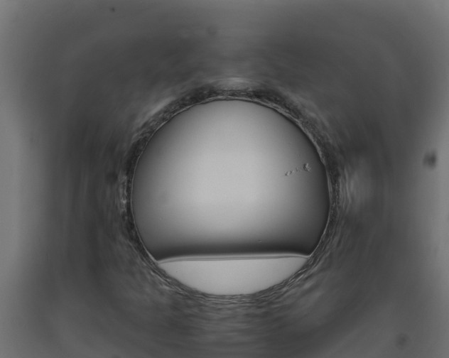 X0000093731301200710160804