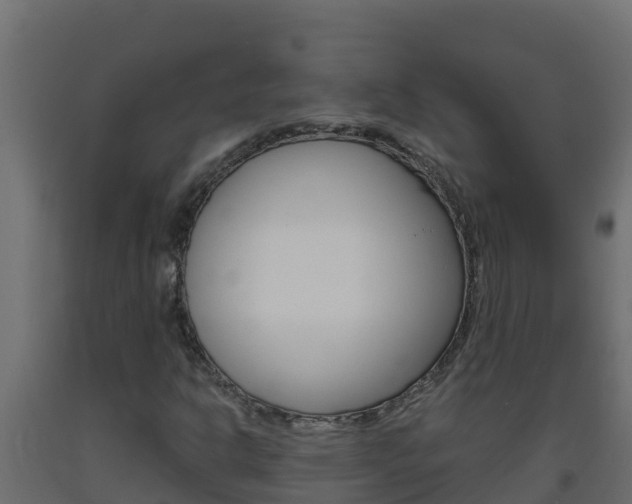 X0000093731302200710160804
