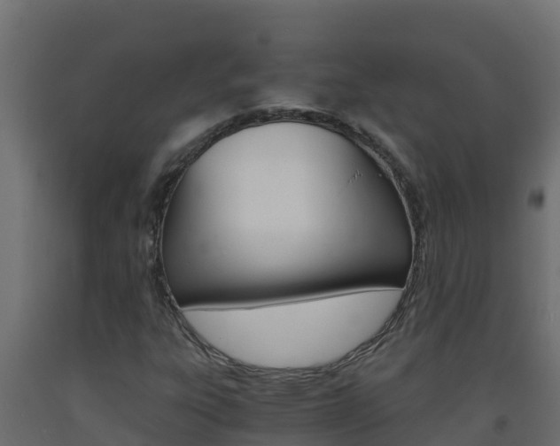 X0000093731303200710160804