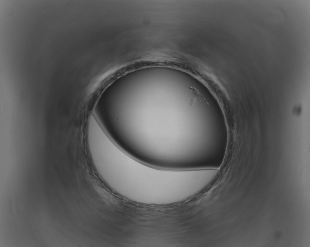 X0000093731304200710160804