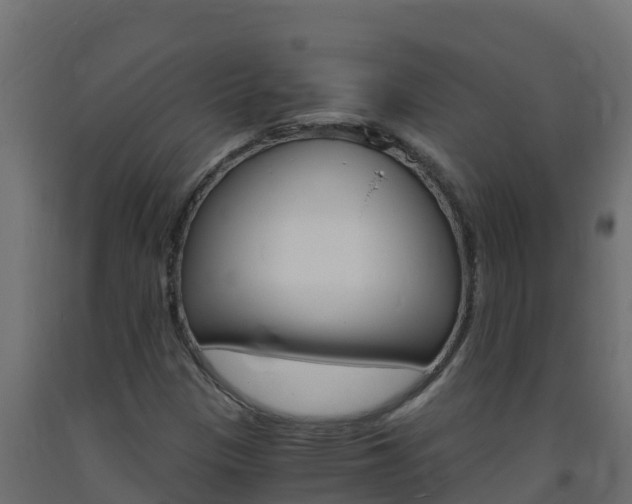 X0000093731305200710160804