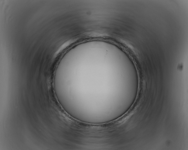 X0000093731306200710160804