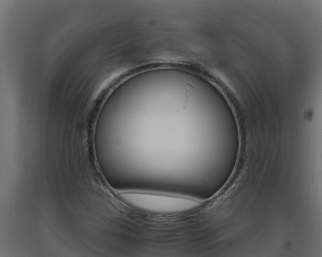 X0000093731307200710160804
