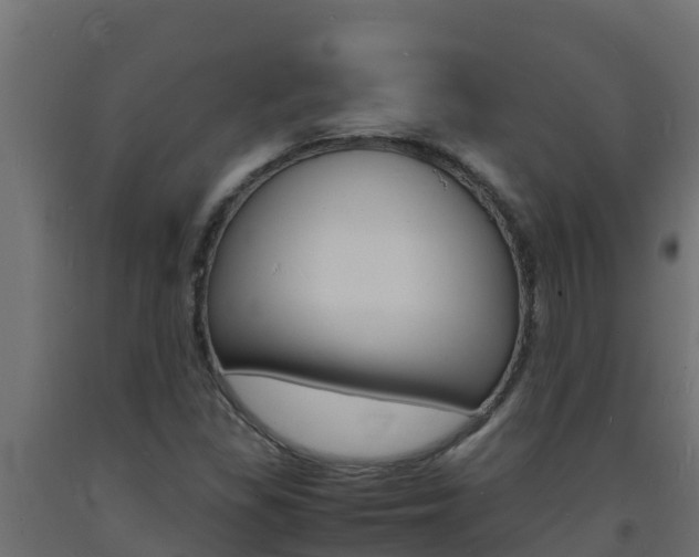 X0000093731309200710160804
