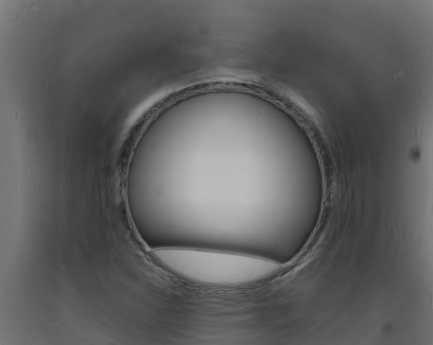 X0000093731310200710160804