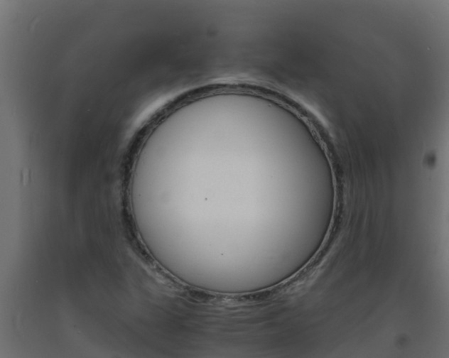 X0000093731311200710160804