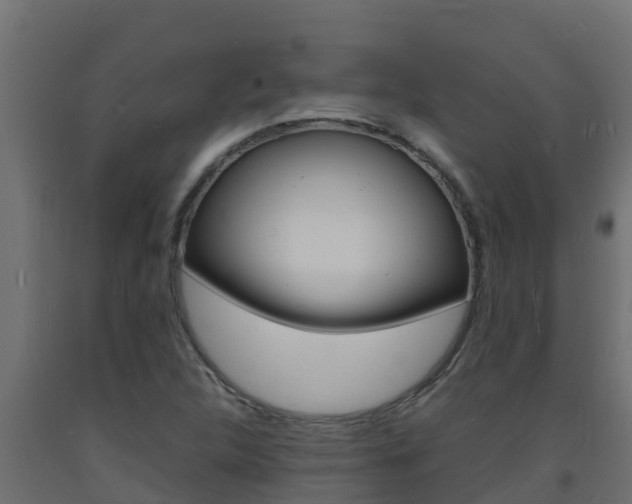 X0000093731312200710160804