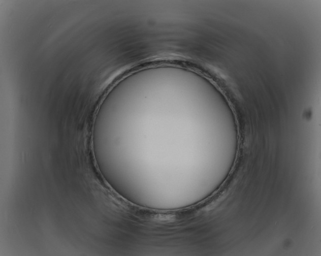 X0000093731313200710160804