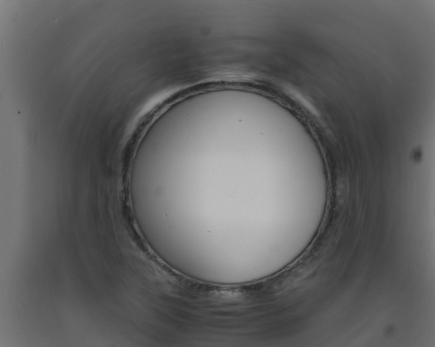 X0000093731315200710160805