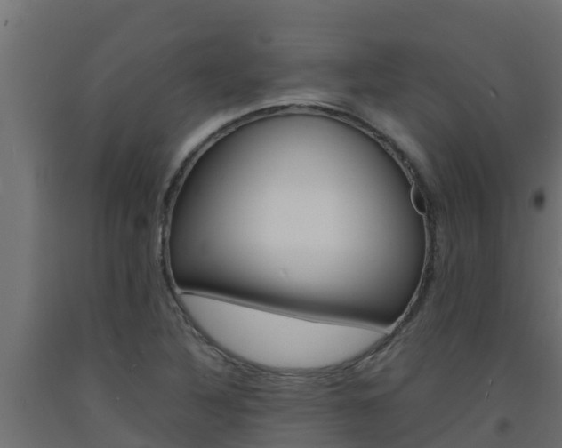 X0000093731316200710160805