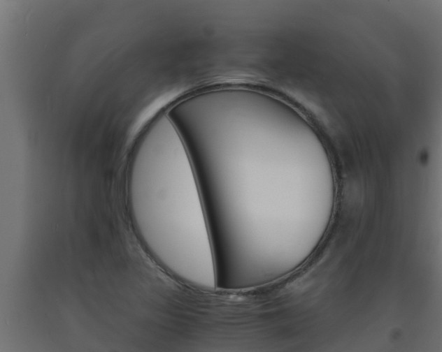 X0000093731317200710160805