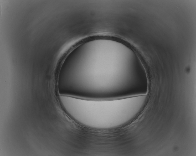 X0000093731319200710160805