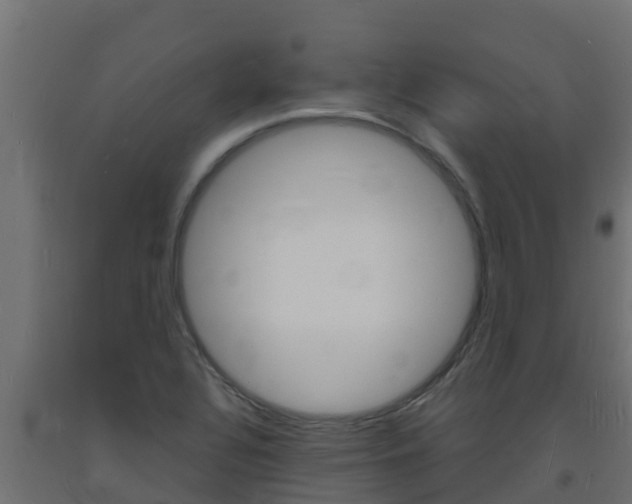 X0000093731320200710160805